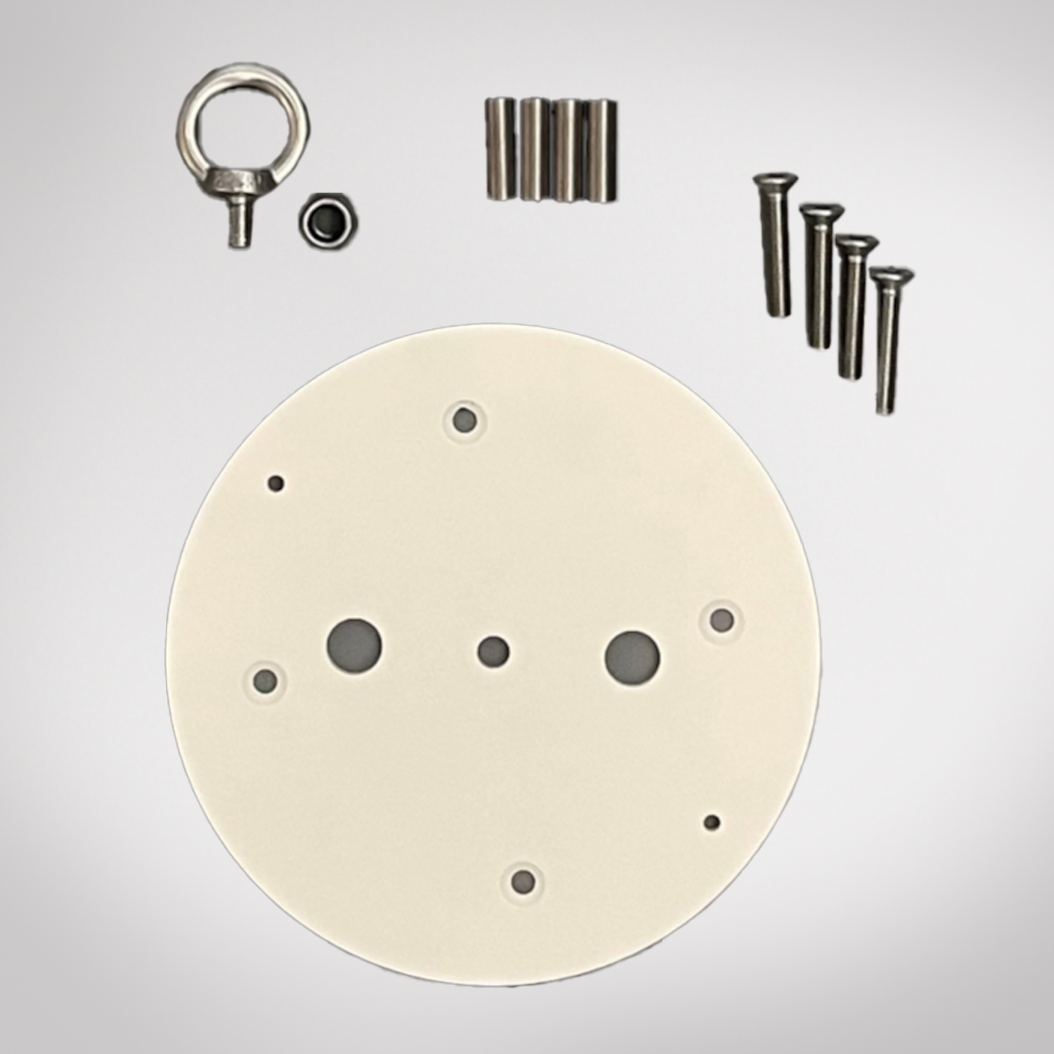 LuxLift Lower Mounting Plate with Eye Bolt