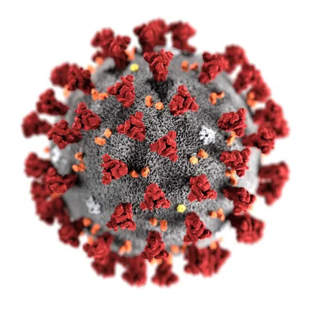 Coronavirus CDC 645X645 1